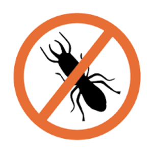 Termite Control